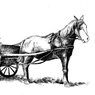 Логотип @karpowenhof - Кляйн Карпау