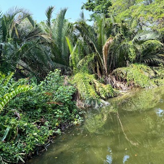 Логотип @karrusyaaaaa - karina karusya