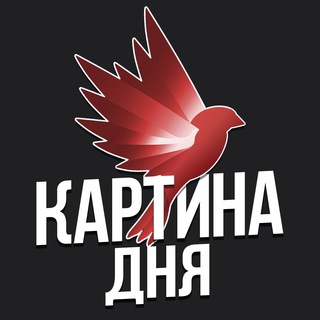 Логотип @kartinadnyaa - Картина дня