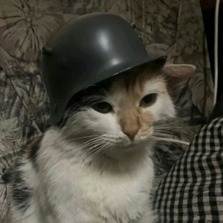 Логотип @kartinkarepina - картина Репина