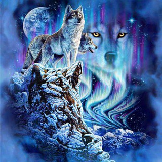 Логотип @kartinki_krasnodar - Картиночки😍