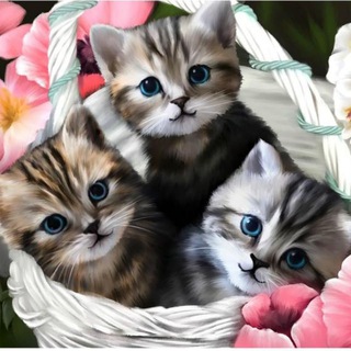 Логотип @kartinkiipozdravleniya21 - Музыкальные поздравления и красивые открытки🥰