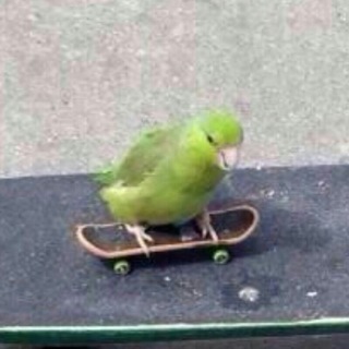 Логотип @kartinkothreadtg - картинкотред