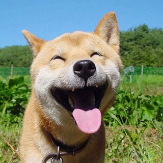 Логотип @kartinkotred - картинкотред