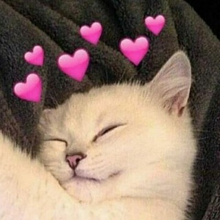 Логотип @kartino4ki_luv - Kartino4ki 💖