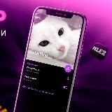 Промокодник | Kasha 🥣