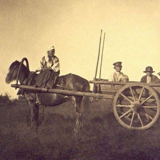 Логотип @kashiratelegram1 - 🏭Каширский телеграм.