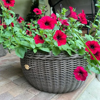 Логотип @kashpo26rus - Мебель и кашпо из ротанга 🧺 Ставрополь #мебельизротанга #планетаротанга