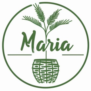 Логотип @kashpo_rotang23 - Кашпо плетёнка🌺