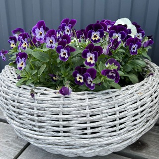 Логотип @kashporattang - Плетëнка