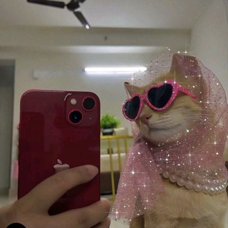 Логотип @kasimeritosbl - SHUTLINE SUB ESPAÑOL