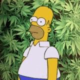 Логотип @kastetmarket - 123456