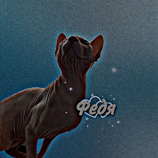 Логотип @kat_house_ry - _𝓕𝓮𝓭𝓸𝓹.𝓯𝓫._