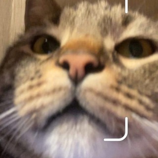 Логотип @katangram - КатанГрам