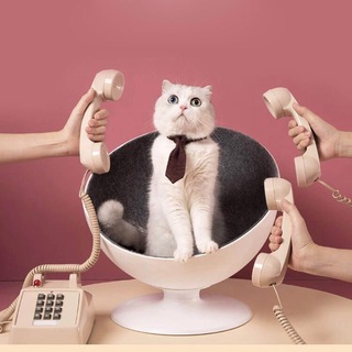 Логотип @kate_makar_job - Открыта вакансия! | Работа в Digital & Services