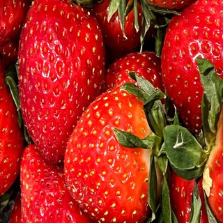 Логотип @katemagicberry - Magic berry. Клубника в шоколаде🍓 Щелково