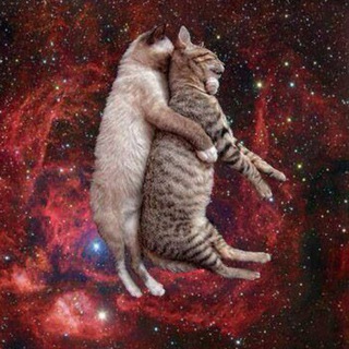 Логотип @katen1aa - фан-клуб катеньки