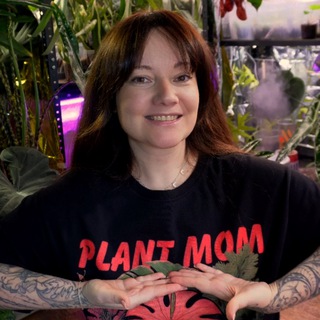 Логотип @kati_plants - 🌿 Kati_plants комнатные растения СПб