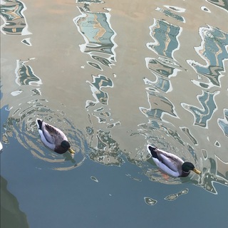 Логотип @katiamargolischat - Katia Margolis Chat