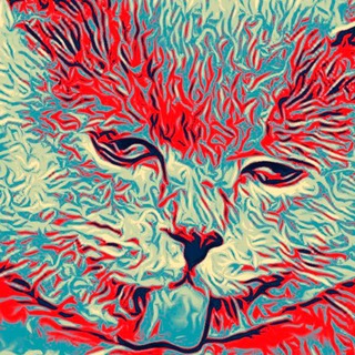 Логотип @katicide - Котицыд