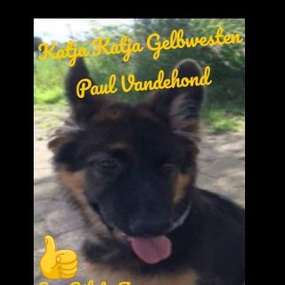 Логотип @katjagelbwesten - Katja katja gelbwesten🇩🇪🇦🇹🇨🇭🇳🇱🇫🇷🇧🇪