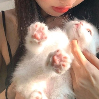 Логотип @kattamesschat - kattamess чатик