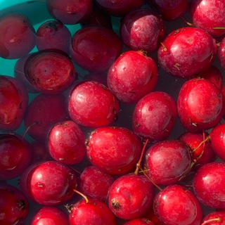 Логотип @katushkagaida - Katushka 🍎