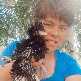 Логотип @katya_v_dome2 - _katya_v_dome