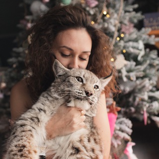 Логотип @katyabobcatlife - KatyaBobCat(Бытовуха)