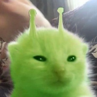 Логотип @katyachannel - Канал Кати Шэ 🌱