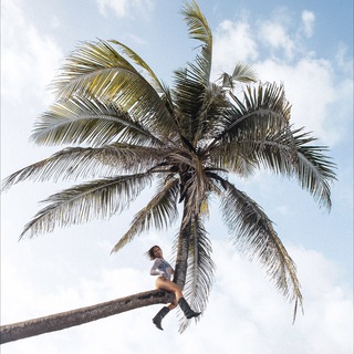 Логотип @katysdance - Katys про жизнь и танцы