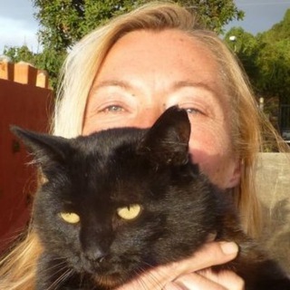 Логотип @katzensprechstunde - Katzensprechstunde Kirsten Schulitz