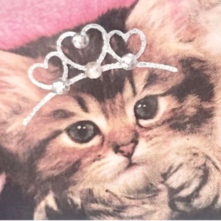 Логотип @katzzzchen - ๋࣭♱·*♡ катцен