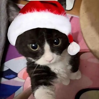 Логотип @kava_ch - Частинка кави 🦋ྀི