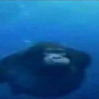 Логотип @kavafu - Kava