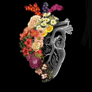 Логотип @kavkaz_dag - Кавказские песни❤️