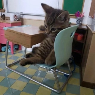 Логотип @kawaii4at - 8б