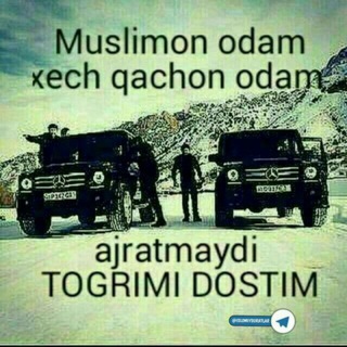 Логотип @kayfingni_sur777 - KAYFDA__💯💯💯💯