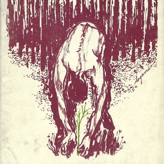 Логотип @kaytser - Փյունիկ / Феникс