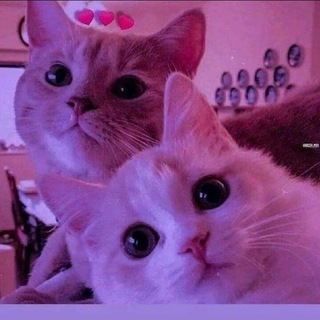 Логотип @kazakhstan_time0 - Kazakhstan