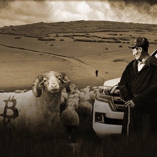 Логотип @kazaxcrypto - Казах в Крипте