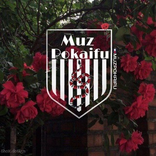 Логотип @kazdance023 - 𝕸𝖚𝖘 𝕻𝖔𝖐𝖆𝖎𝖋𝖚 группасы