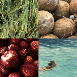 Логотип @kazimirkamalevich - just nakamoto things.