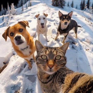 Логотип @kb_talk - Болталка Ловкого рюкзака