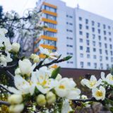 Логотип @kbsmp25ru - kbsmp25ru