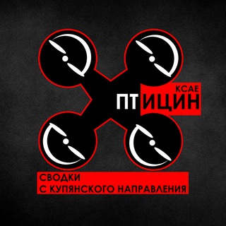 Логотип @kcaebirds - ПТИЦИН \ KCAE