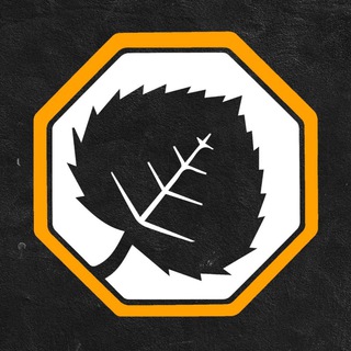 Логотип @kdn2013 - Kampf der Nibelungen