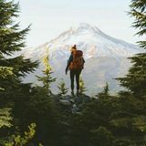 Логотип @kdvinci - Код да Вінчі