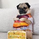 Логотип @kekz93_tiktok - Kekz93 ‼️ из тик тока ‼️