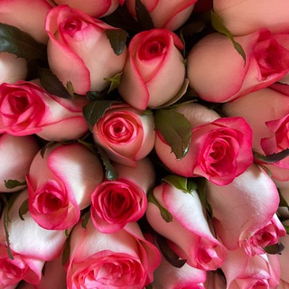 Логотип @kemalovasss - kab🤍